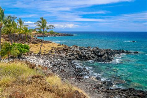The Big Island Hawaii Landscape Windows