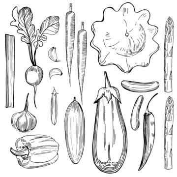chilli vegetable sketch  drawing silhouette   personal