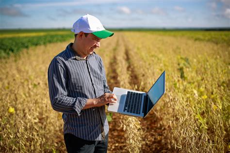 Empresa Renomada Do Agro Abre Inscri Es Para Auditor De Campo Em Ms