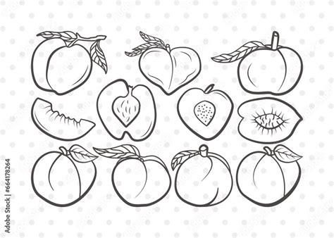 Peach Fruit Clipart Svg Cut File Peach Svg Fruit Svg Peach Slice