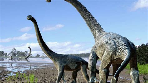 New Dinosaur Species Titanosaur Has Its Heart On Tail Discovered