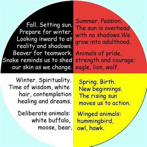 Cuatro Puntos Cardinales Native American Medicine Wheel Native