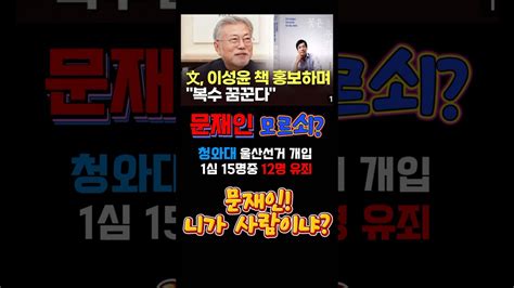 문재인 국민분노 유발💥청와대 울산선거 공작 사과없이 “복수를 꿈꾼다”😱😡성창경tv 쓴소리 뉴스 문재인 민주당 국민의힘