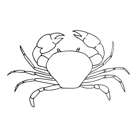 Premium Vector Hand Drawn Crab Isolated On White Background