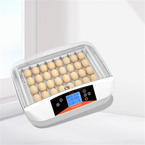 Hhd Digital Automatic Mini Chicken Egg Incubator China Chicken Egg