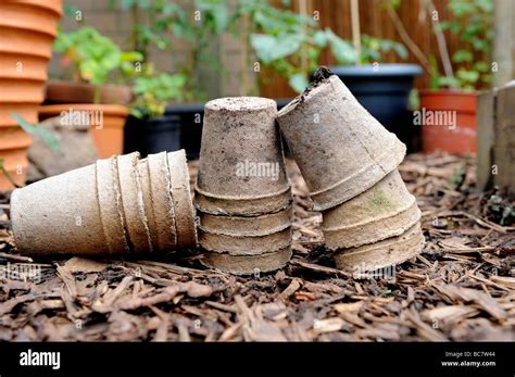 Bark chippings garden hi-res stock photography and images - Alamy