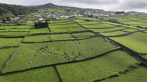 Três sismos sentidos na terça feira na ilha Terceira Observador