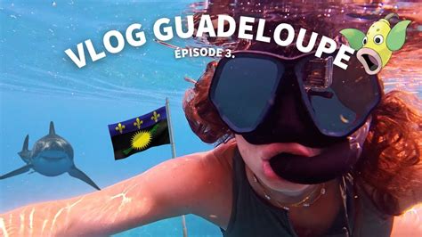 UN REQUIN VLOG GUADELOUPE C EST N IMP EPISODE 3 3 YouTube