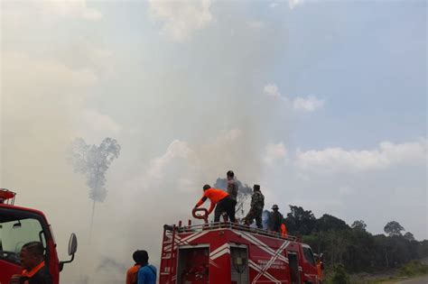 Bpbd Kapuas Hulu Berhasil Padamkan Kebakaran Lahan Pertanian Di Desa