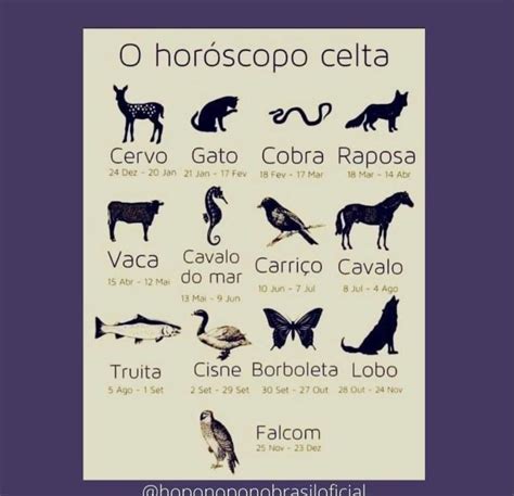 Pin De Deolinda Pereira Em Signos Acess Rios De Gato Significado