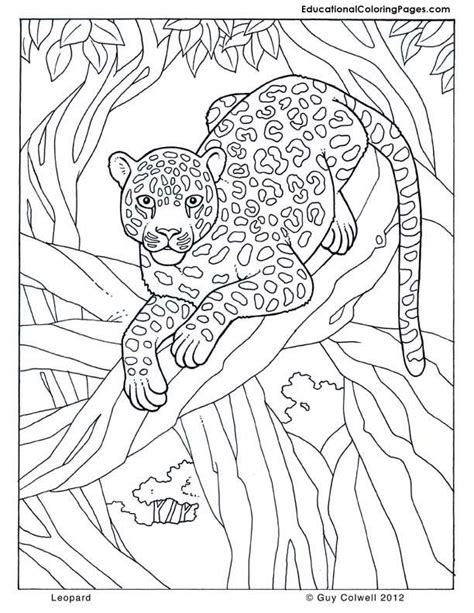 Jungle Animals Coloring Pages - Coloring Home