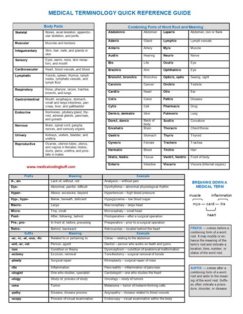 Medical terminology quick reference guide – Artofit