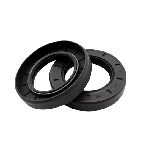 China Factory Mechanical Seal Style Skeleton Rubber Hydraulic Oil Seals