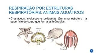É Produzido Pelos Animais Durante A Respiração - Respiração nos animais e respiração humana | PPTX