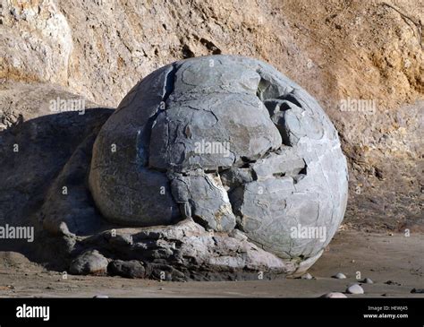 Concretion Rock