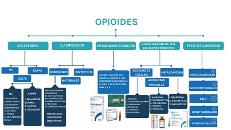 MAPA CONCEPTUAL OPIOIDES