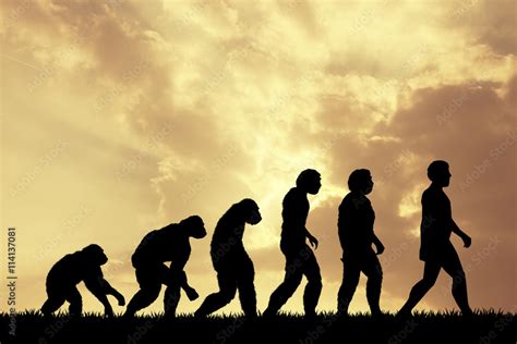 Human Evolution Stock Illustration Adobe Stock