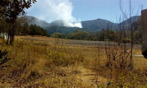 Detectan Hasta Predios Afectados Por Incendios En Morelia