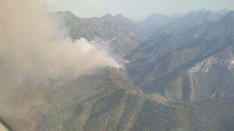 CONAFOR On Twitter El Fuego Se Localiza En Un Bosque De Pino Encino