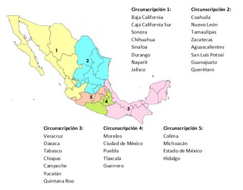 ¿qué Son Y Cómo Se Eligen Los Diputados Y Senadores Plurinominales