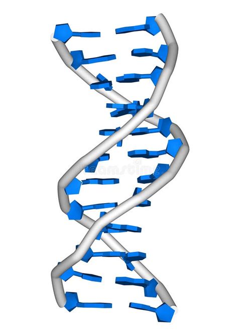 De Molecule Van Dna Stock Illustratie Illustration Of Wetenschap