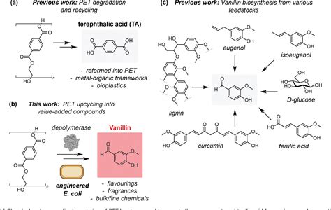 PDF Microbial Synthesis Of Vanillin From Waste Poly Ethylene