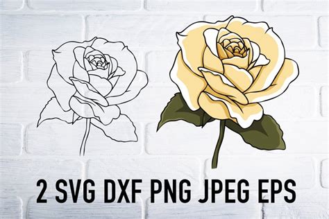 Rose svg png, flower clipart (4117971)