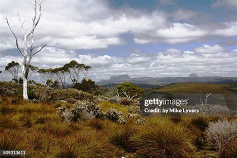 128 Tasmanian Wilderness World Heritage Area Stock Photos, High-Res ...