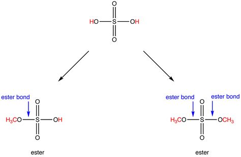 Ester Ester Definition Structure Esterification Along With Properties