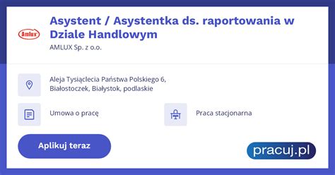 Oferta Pracy Asystent Asystentka Ds Raportowania W Dziale Handlowym