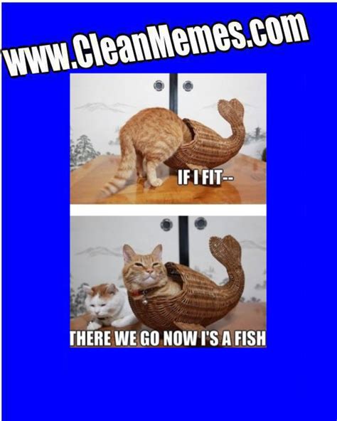 Cat meme drop 3-18-24 – Clean Memes