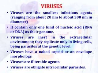 Virus Structure And Classification Ppt