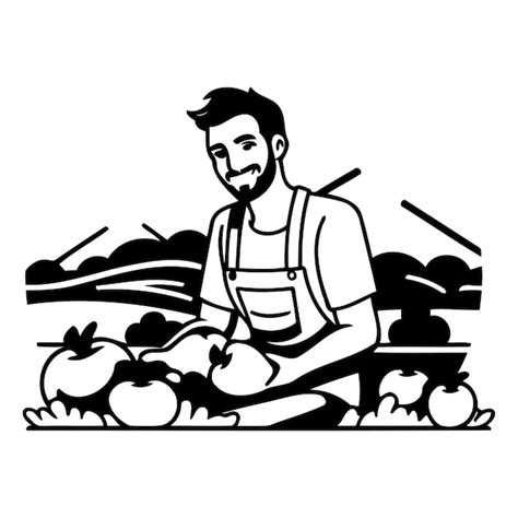 Premium Vector Man Harvesting Vegetables In The Field Vector