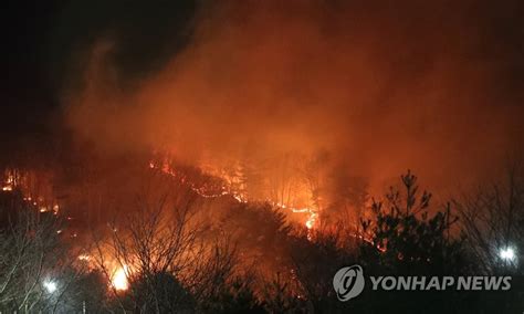 바람 타고 확산하는 강릉 산불 연합뉴스