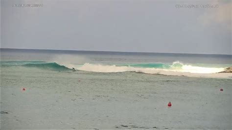 Tasty Waves in Cane Garden Bay | Pusser's British West Indies, Ltd.