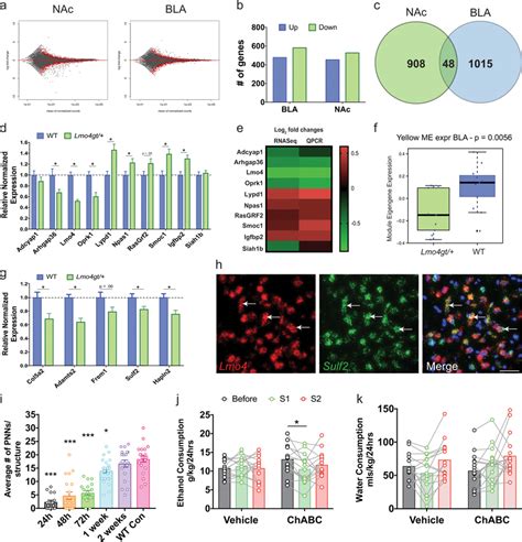 Transcriptome Analysis Identifies Ecm Related Genes As Transcriptional ...