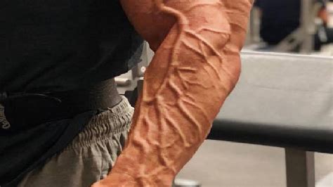 Super Veiny Arms