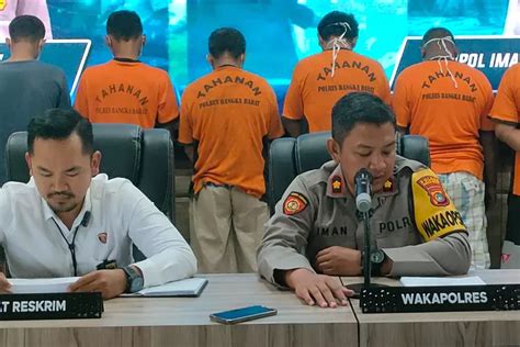 Nekat Nambang Pasir Timah Di Perkebunan Pt Gsbl Warga Jebus Ditangkap