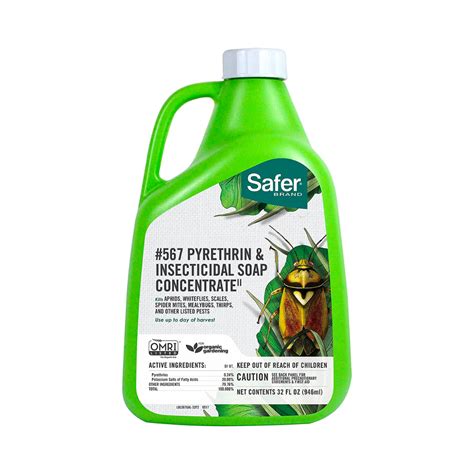 5 Best Insecticidal Soaps 2023 Guide This Old House