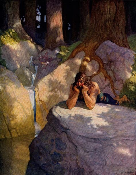 Miti In Simboli Kralj Artur King Arthur N C Wyeth