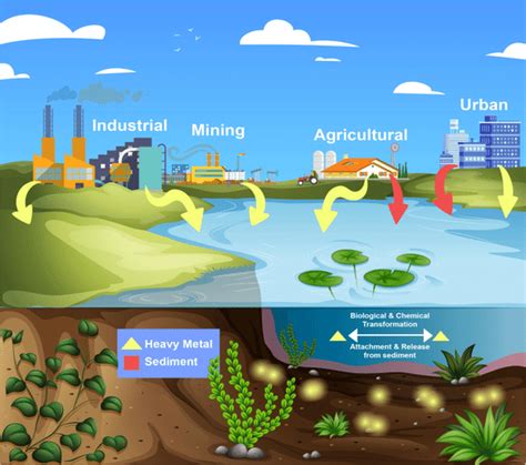 Diagrammatic Explanation About Heavy Metals In The Environment Download Scientific Diagram