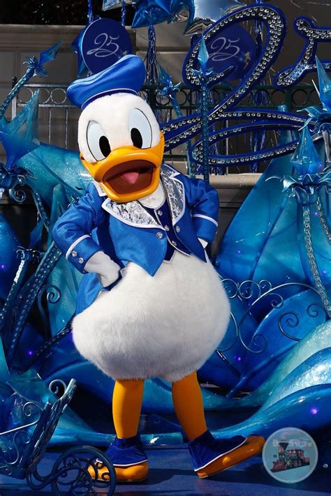 46 best images about Disney Characters: Donald Duck on Pinterest