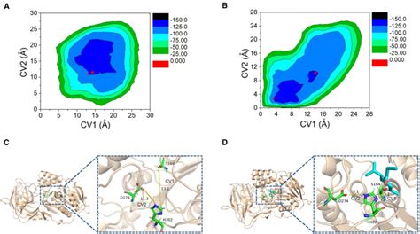 Crystal Structure Of Lipase From Pseudomonas Aeruginosa Reveals An