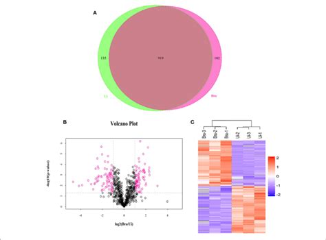 Proteomic Profiling Of Exosomes Derived From Uninfected Or Brucella