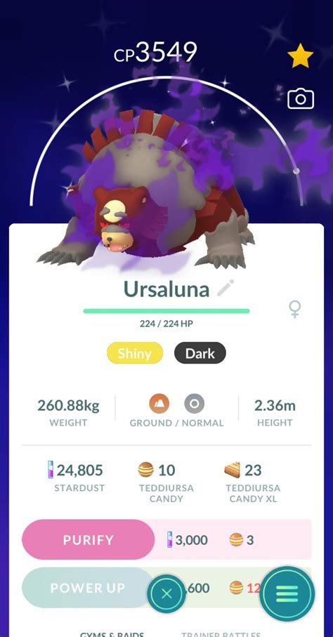 Shiny Shadow Ursaluna Caught 2/22 : r/TheSilphRoad