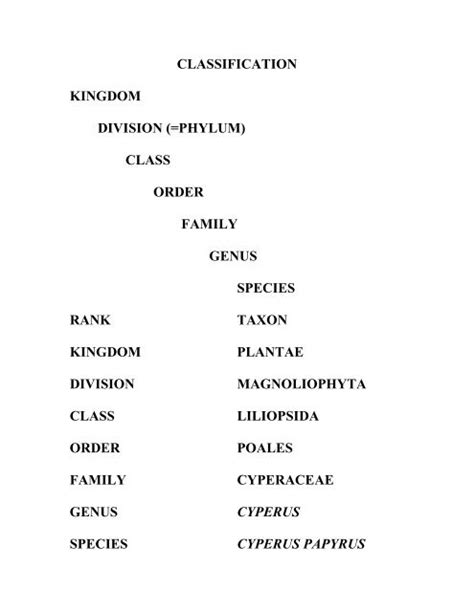 Plant Kingdom Phylum Kingdom