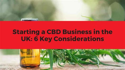 Starting A Cbd Business In The Uk Key Considerations