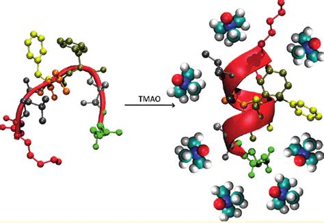 Entropic Stabilization Of Proteins By TMAO G R LAB