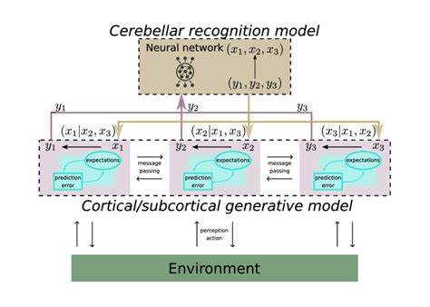 Cerebellar Recognition Model Contribution To Neuronal Inference In