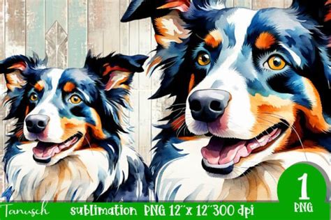 Watercolor Border Collie Sublimation Graphic By Tanuscharts · Creative